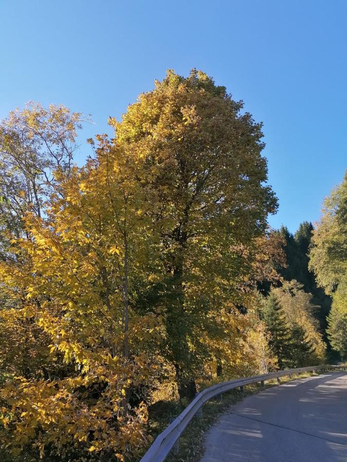 トゥクスHaus Martinaアパートメント エクステリア 写真